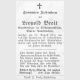 019289 Braid Leopold.jpg