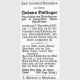 089960 Dallinger Johann.jpg